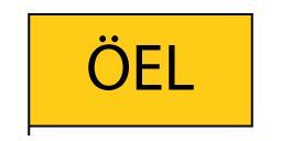 örtliche Einsatzleitung